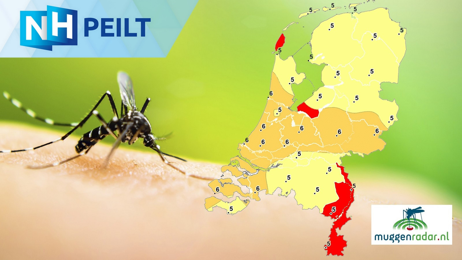 NH Peilt Muggenplaag op komst? Check het hier op muggenradar! NH Nieuws