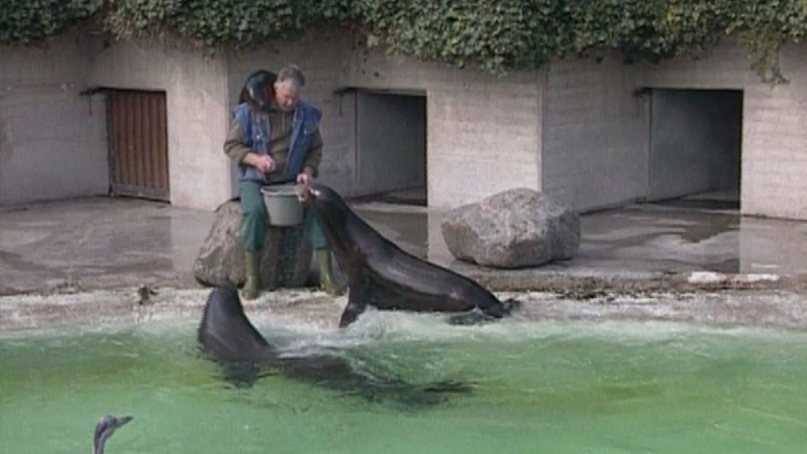 NH in de Dierentuin
