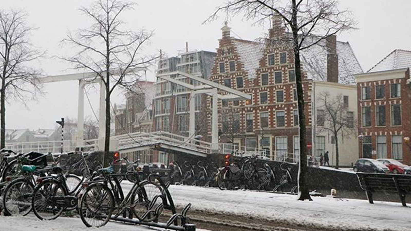 @albertverhoeven