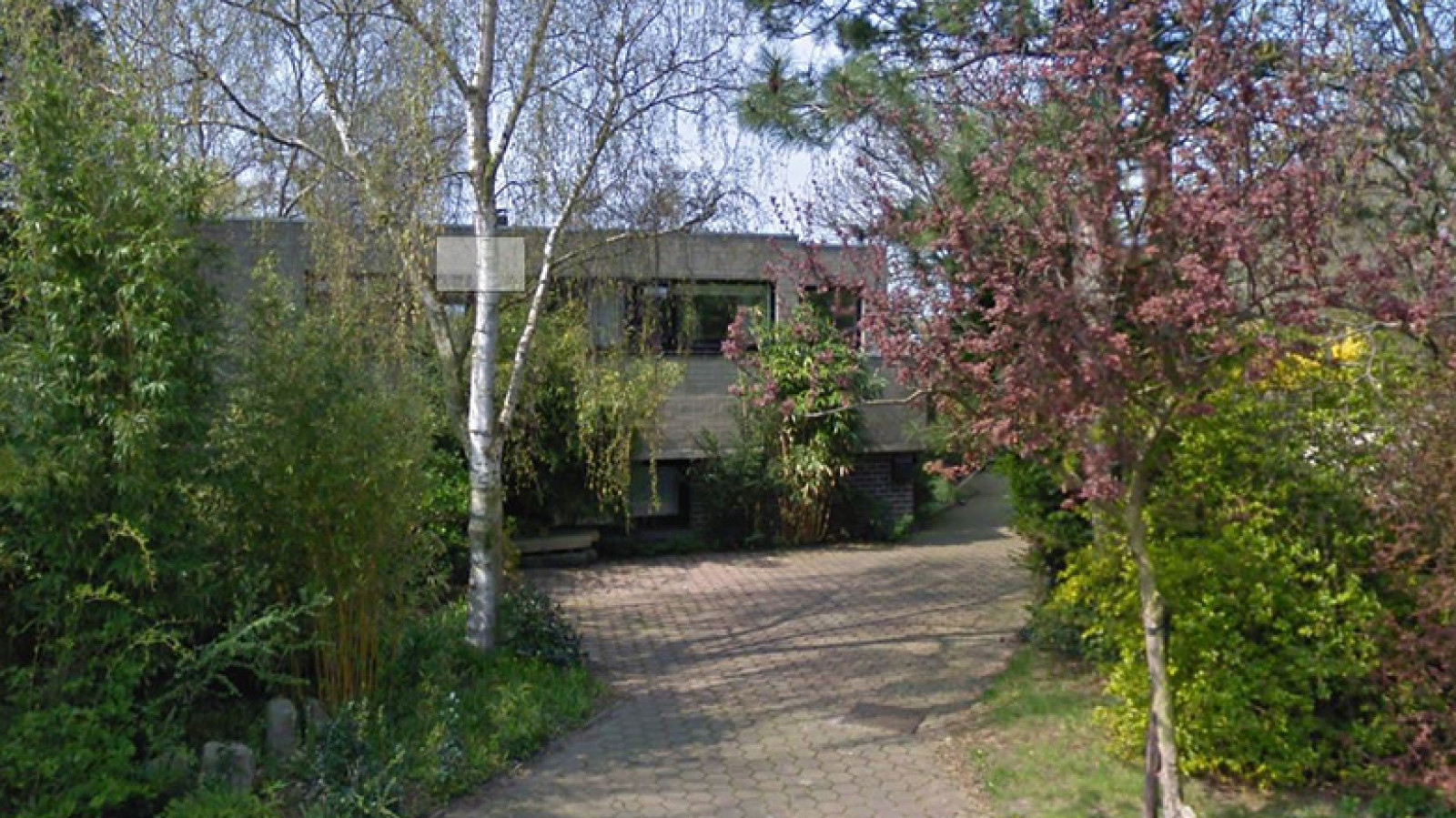 Google Streetview