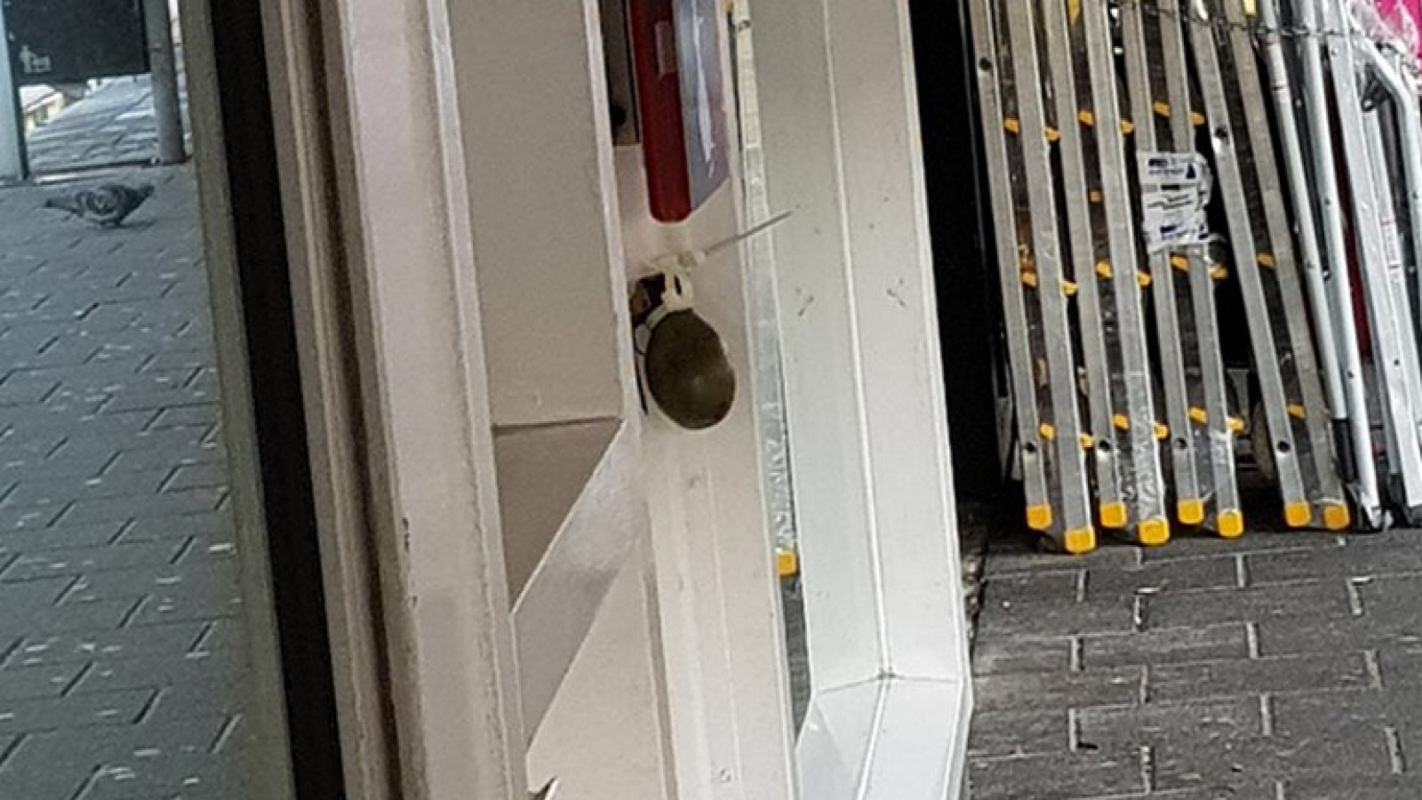 AT5