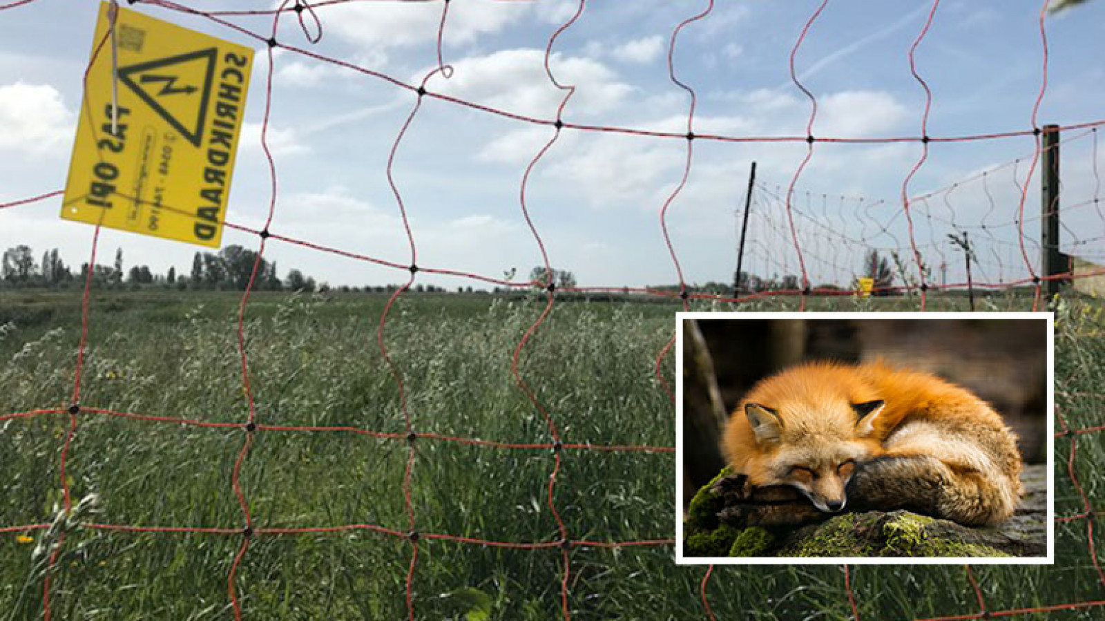 NH Nieuws / Geja Sikma