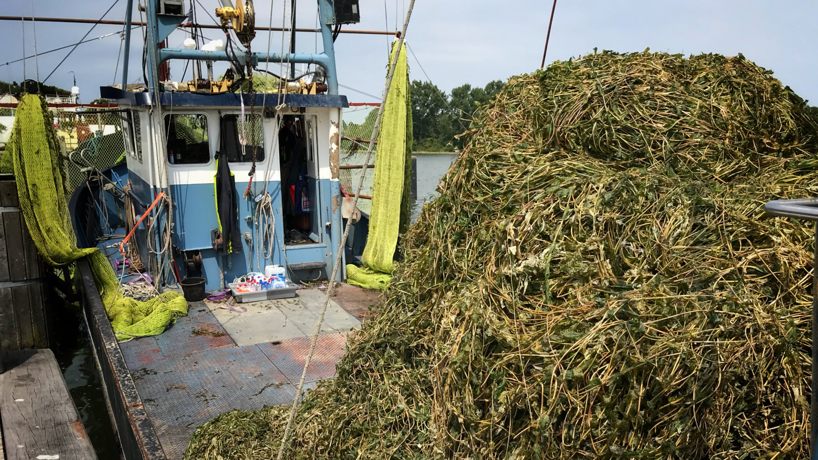 NH Nieuws / Chantal Bos