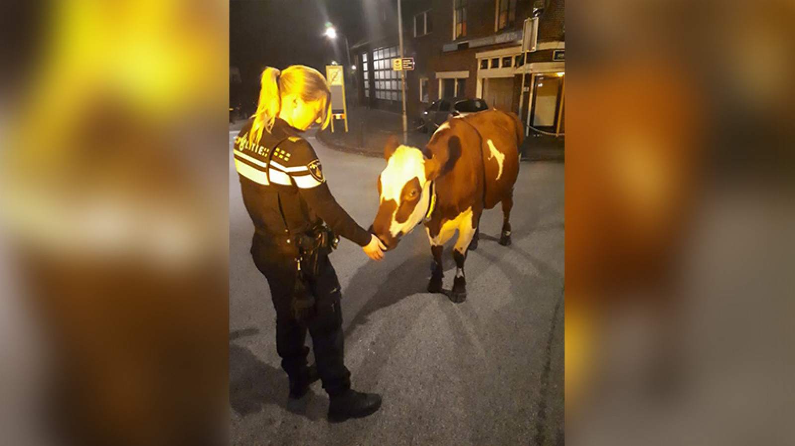 Politie Hilversum