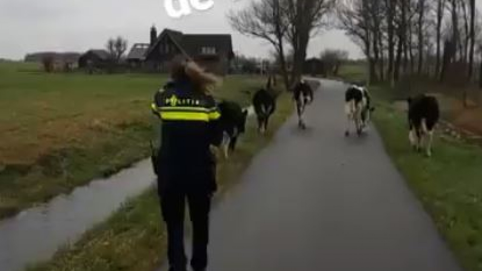 Politie Alkmaar