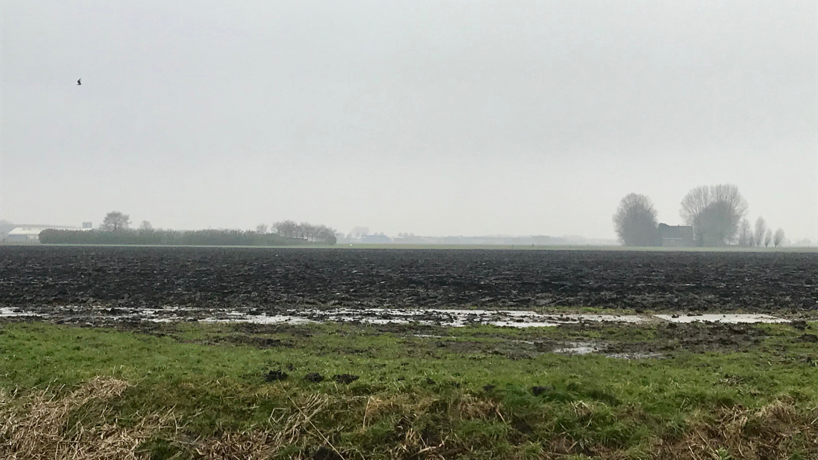 NH Nieuws / Chantal Bos