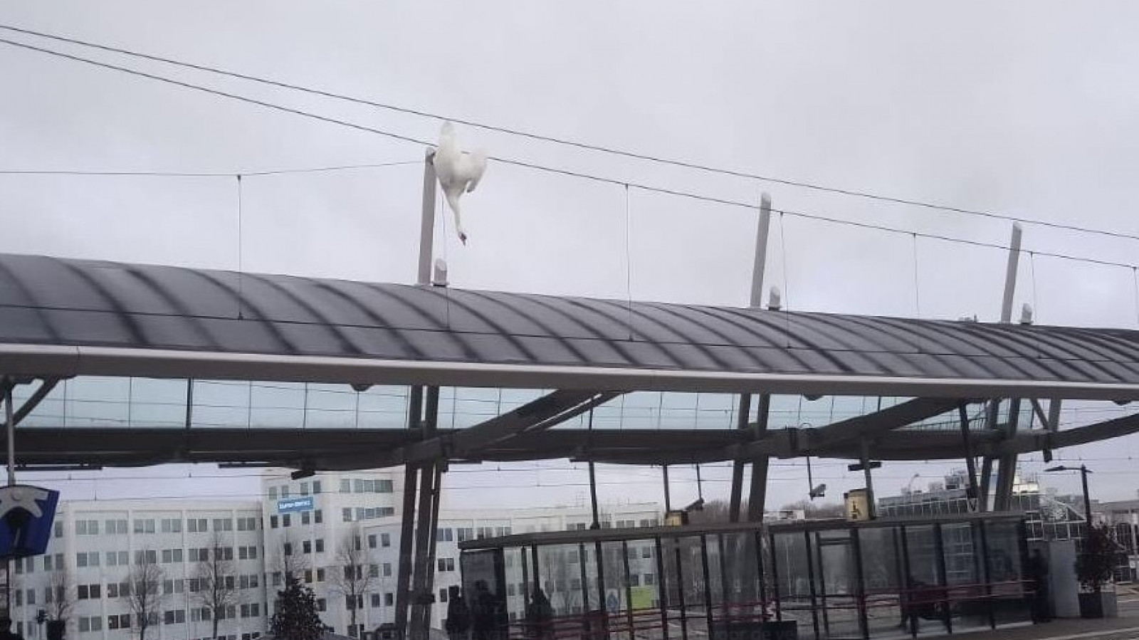 ProRail