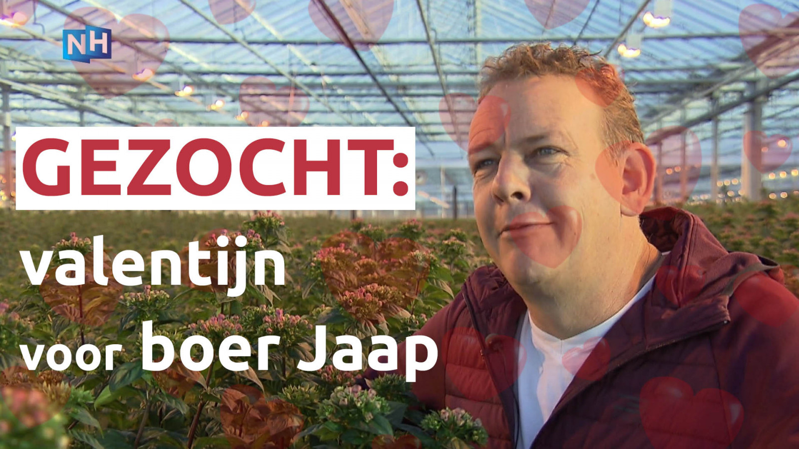 NH Nieuws