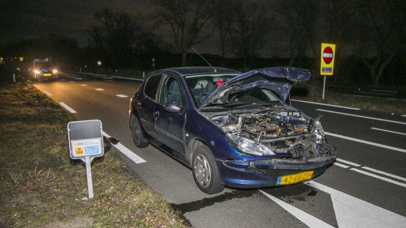 Weer hert aangereden door auto in Overveen. Weer hert aangereden door auto in Overveen.