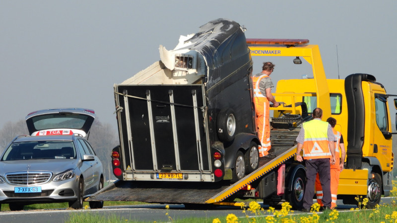 Paarden gewond na ongeluk met auto en trailer op N244. Paarden gewond na ongeluk met auto en trailer op N244.