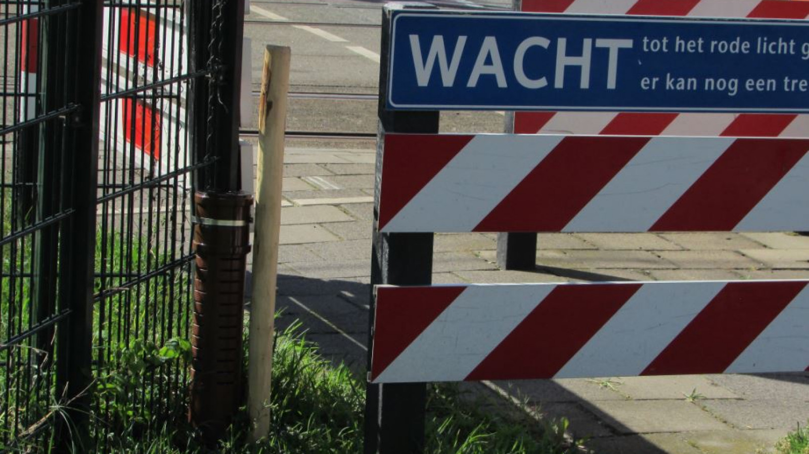 Willem van der Sloot