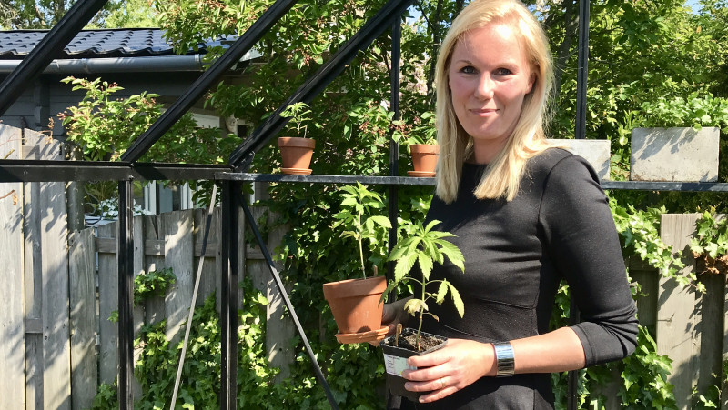 Marjon wil dat 'iedereen een wietplant in de tuin heeft' &quot;Ik dank mijn