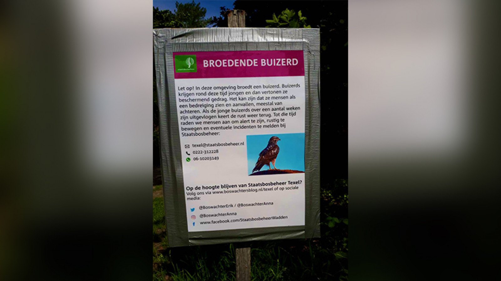 Boswachter Anna / Staatsbosbeheer Texel