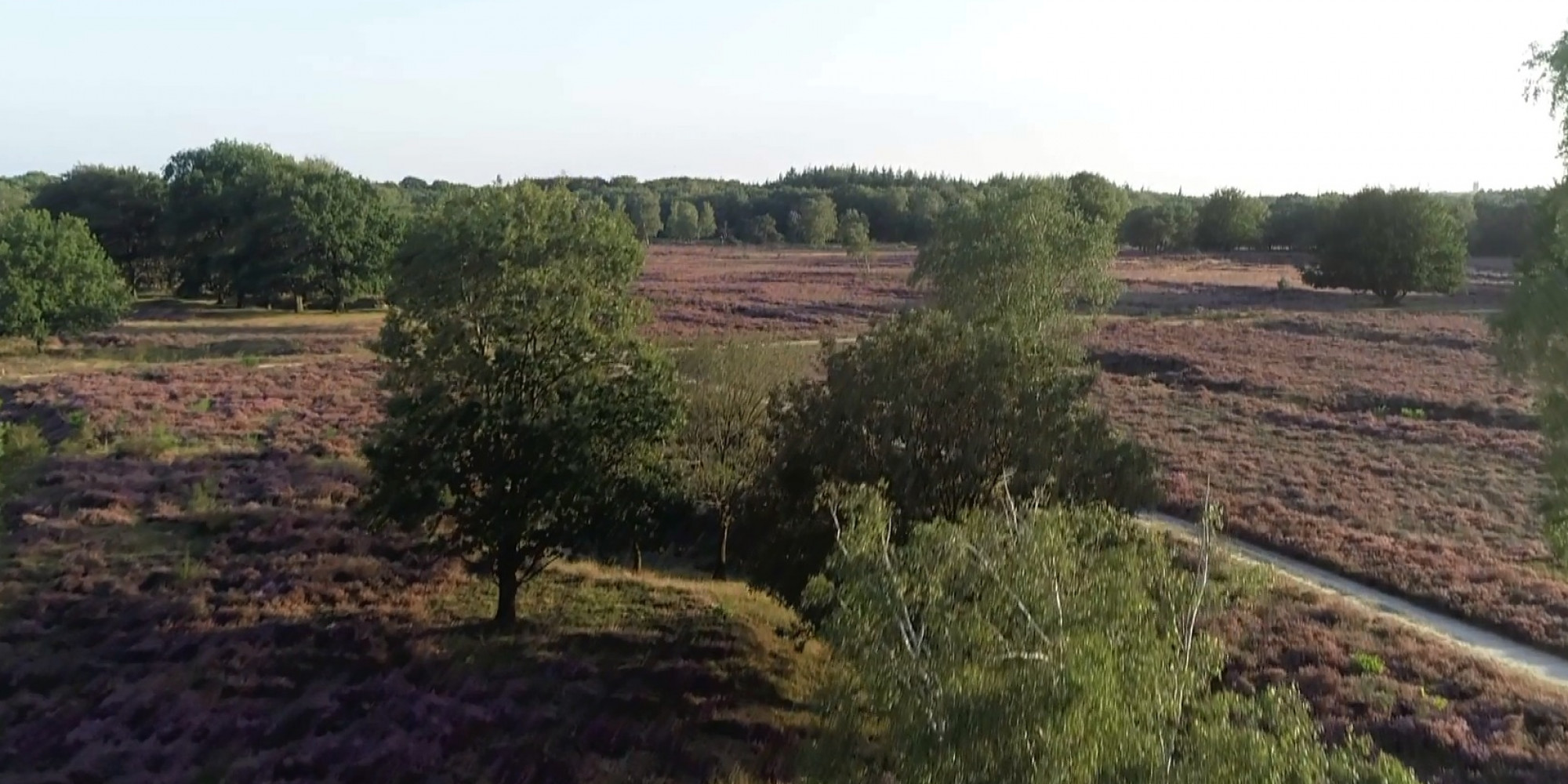Snapshot Video 198537 (00:12)