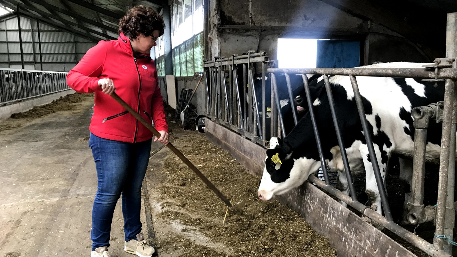 NH Nieuws / Chantal Bos