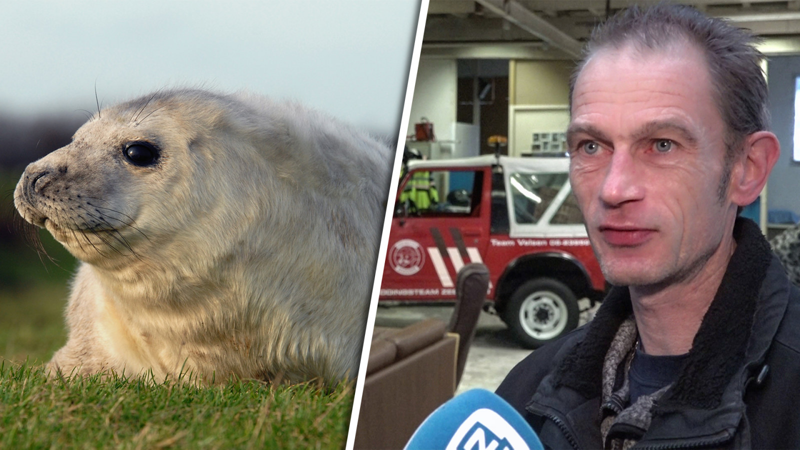 Ecomare/NH Nieuws