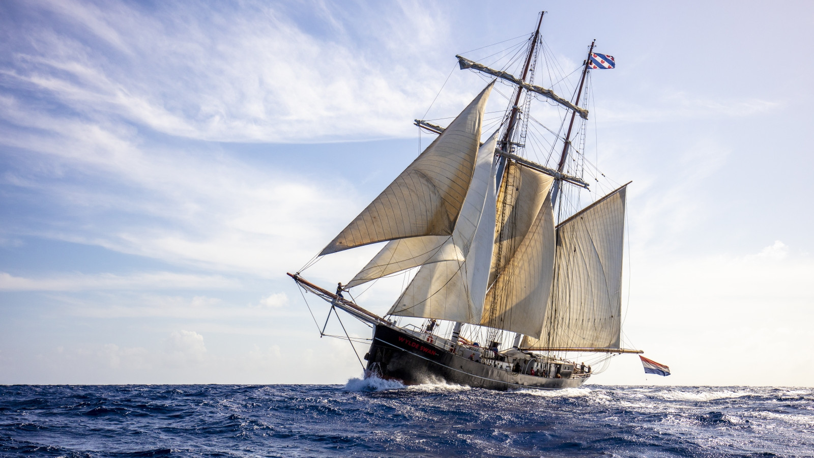 De Wylde Swan