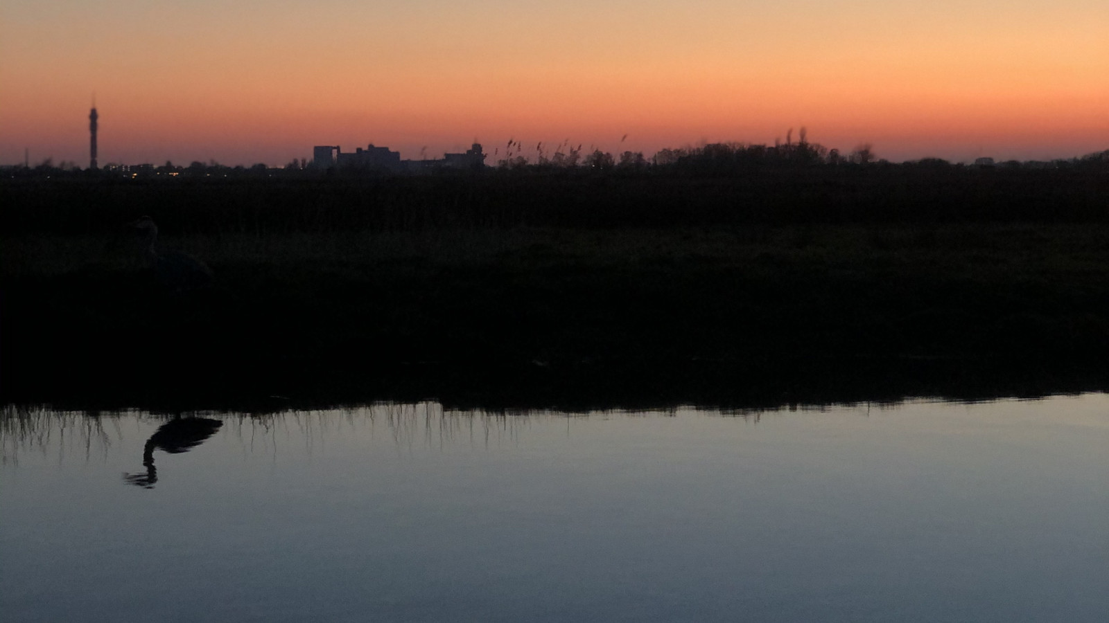 Maaike Polder