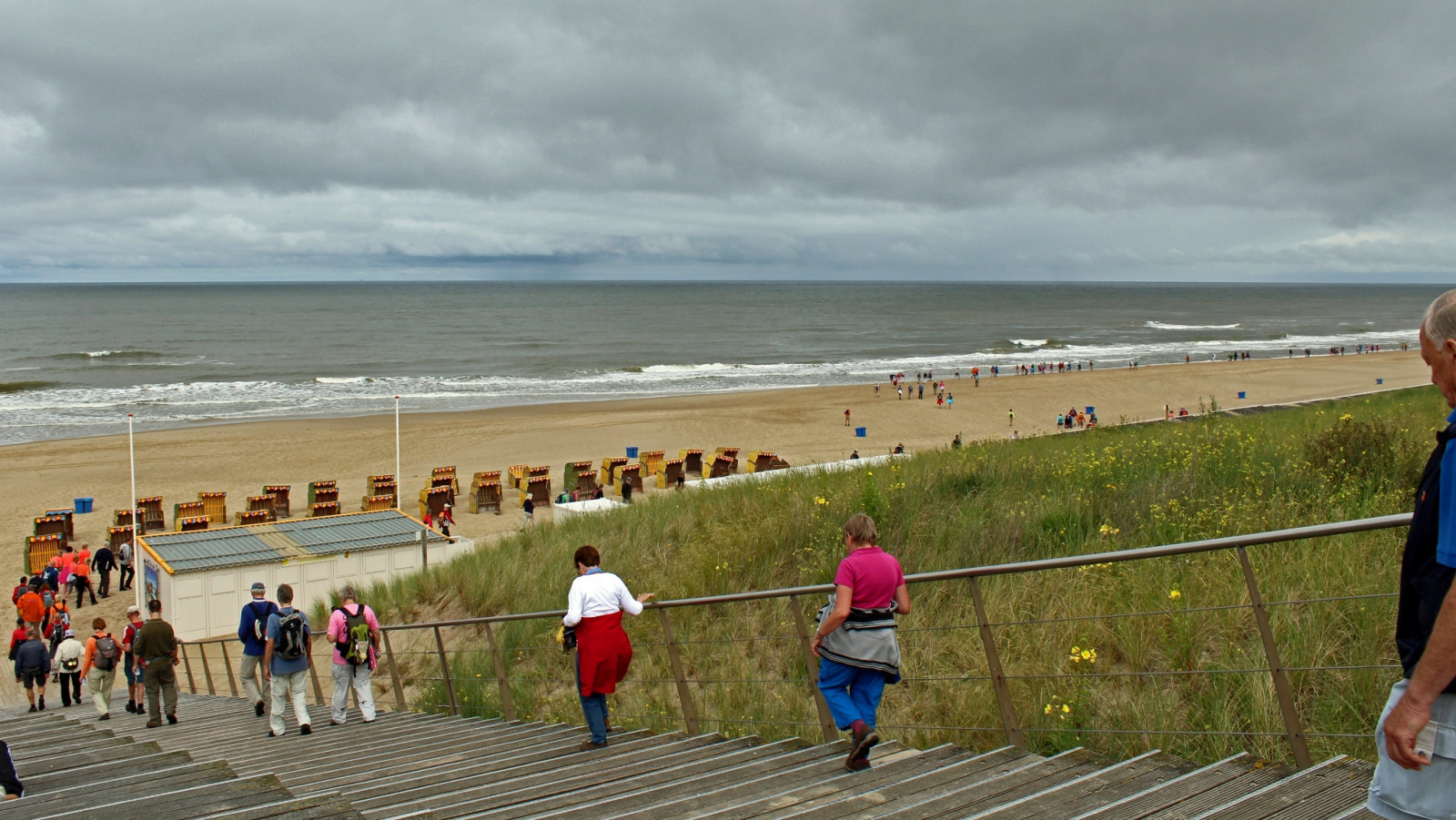 In beeld Plus Wandel4Daagse Alkmaar door Egmond aan Zee NH Nieuws