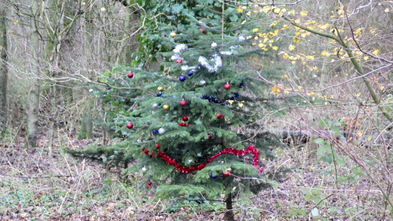 Kerstgevoel compleet in Hoofddorp; versierde kerstboom midden in het