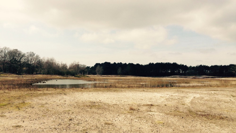 Laarder Wasmeer