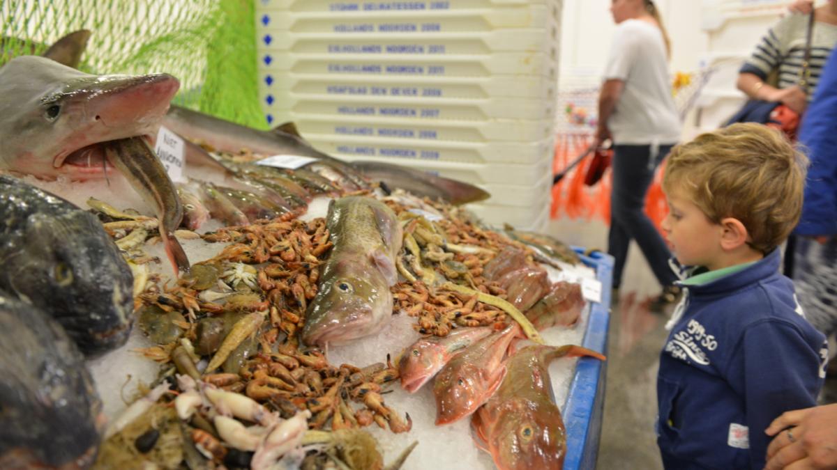 NH live op Flora- en Visserijdagen Den Oever: vlaggetjes, verse vis en veel vertier