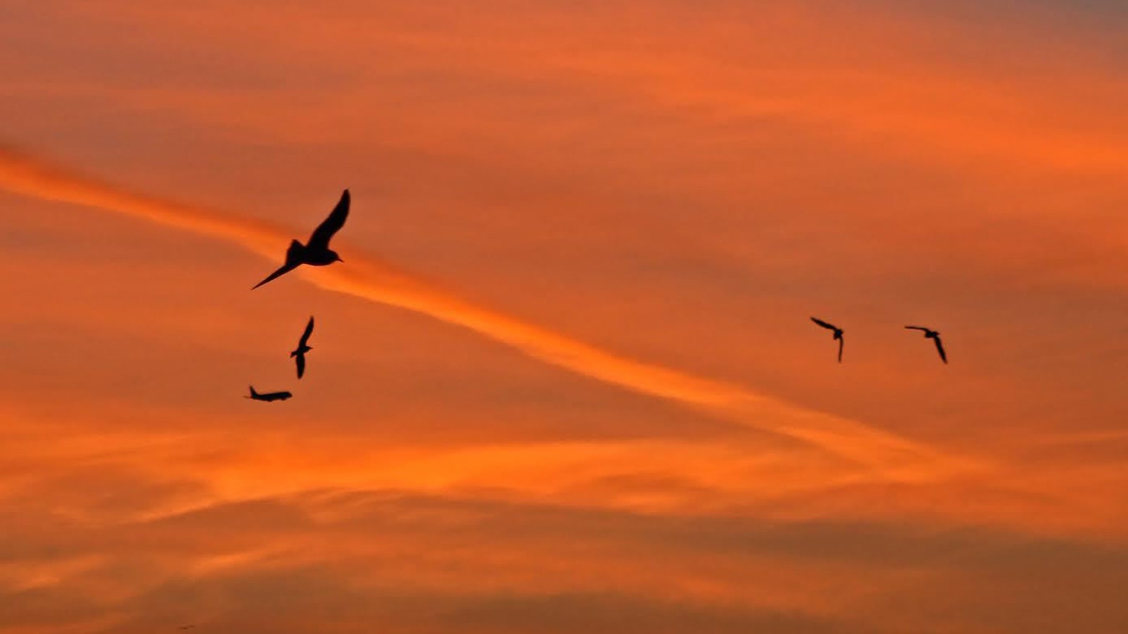Mooi begin van de dag in Egmond aan Zee NH Nieuws