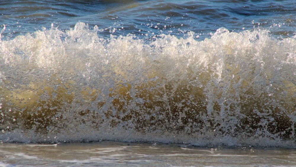 Mooie golven in Egmond aan Zee NH Nieuws Mooie golven in Egmond aan Zee NH Nieuws