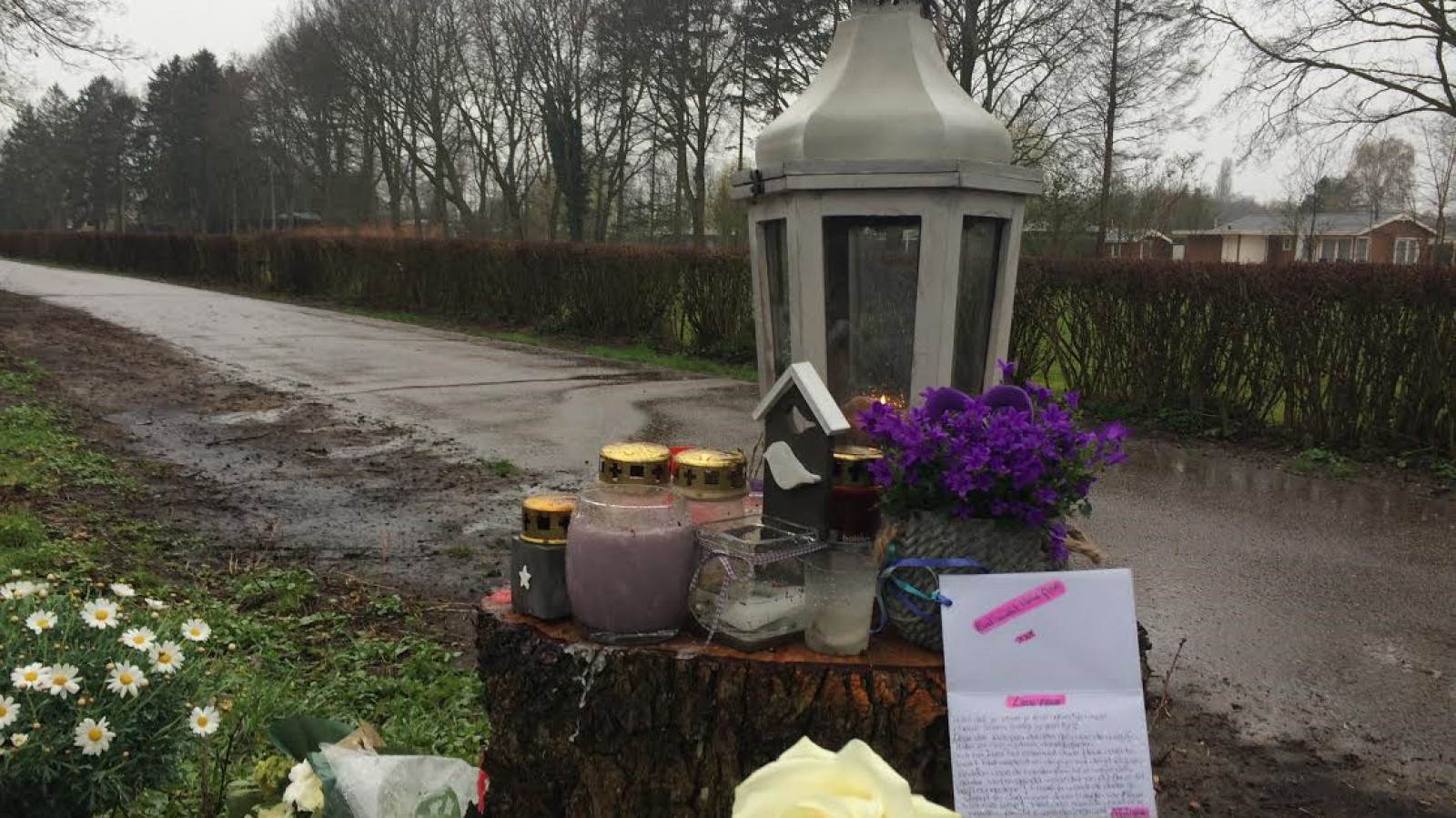 Langs de Nieuw Loosdrechtsedijk is een herdenkingsplek voor Fleur ontstaan