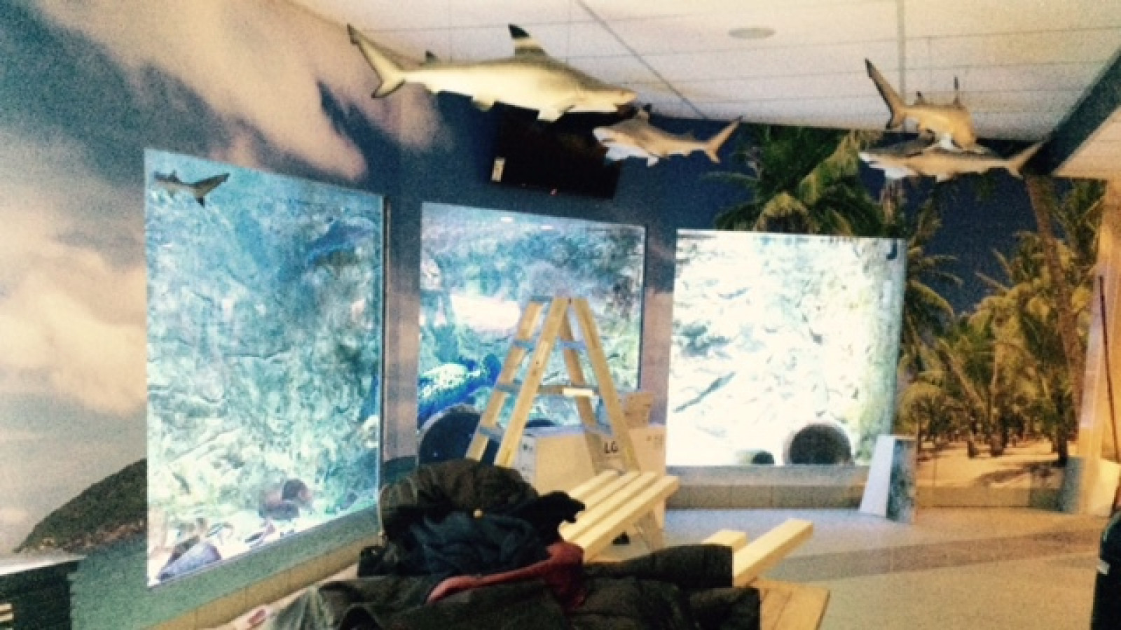 Verbouwing Zee Aquarium Bergen aan Zee 
