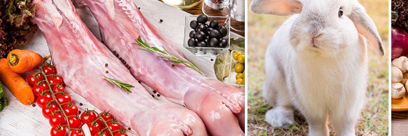 Ontvangende machine Dwang botsing Acht supermarkten stoppen met verkoop van konijnenvlees - NH Nieuws