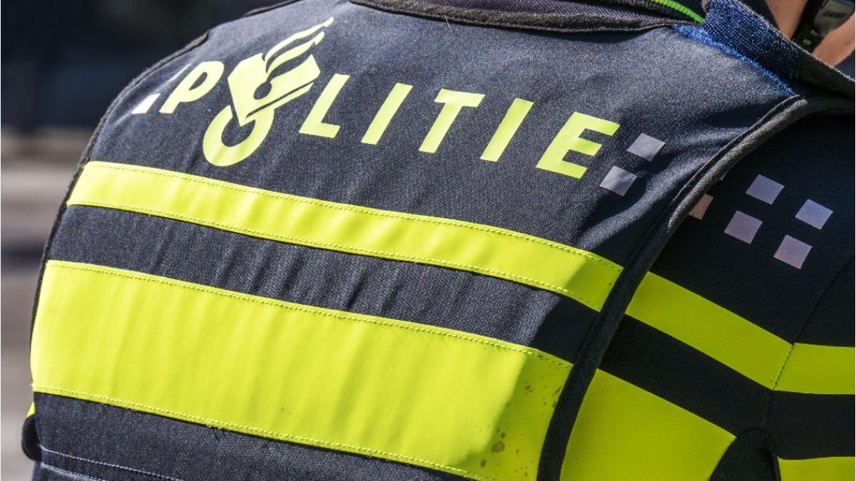 Vrouw (69) die honden uitliet aangereden: automobilist rijdt door