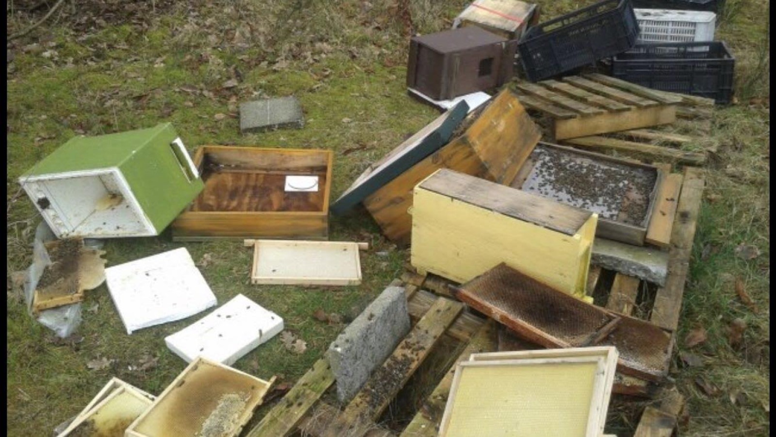 De ravage die achterbleef nadat de bijenkasten waren vernield