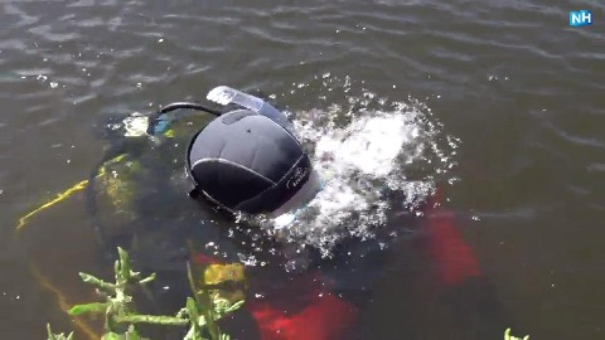 Duiker speurt bodem af op zoek naar zonnebril meisje: 'Was enige erfstuk overleden vader'