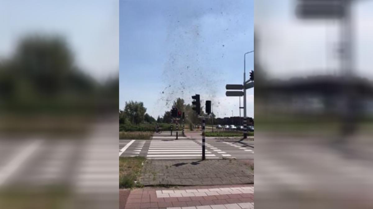 Stofhoos VIDEO: Bijzondere stofhoos gespot in Purmerend - NH Nieuws