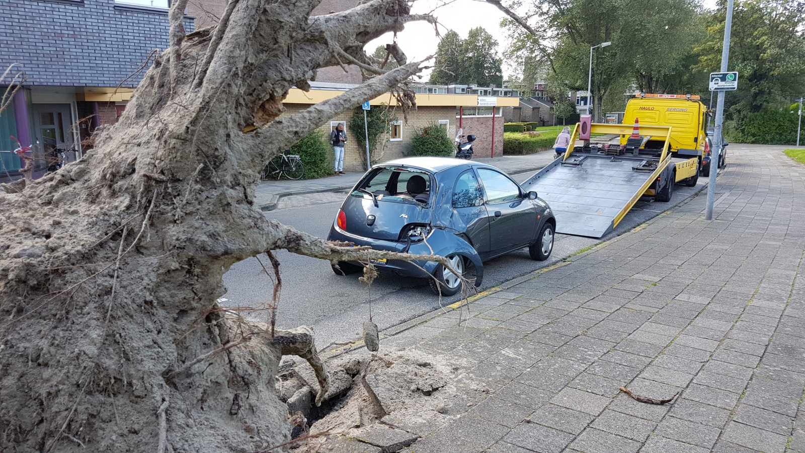 Boom op auto in Alkmaar