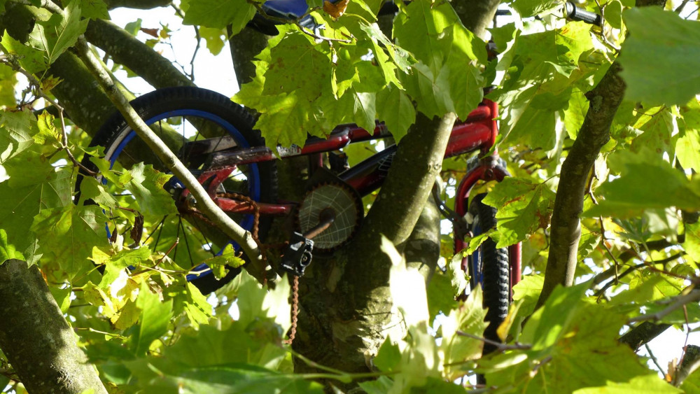 Brandweer in actie voor kinderfiets in boom - NH Nieuws