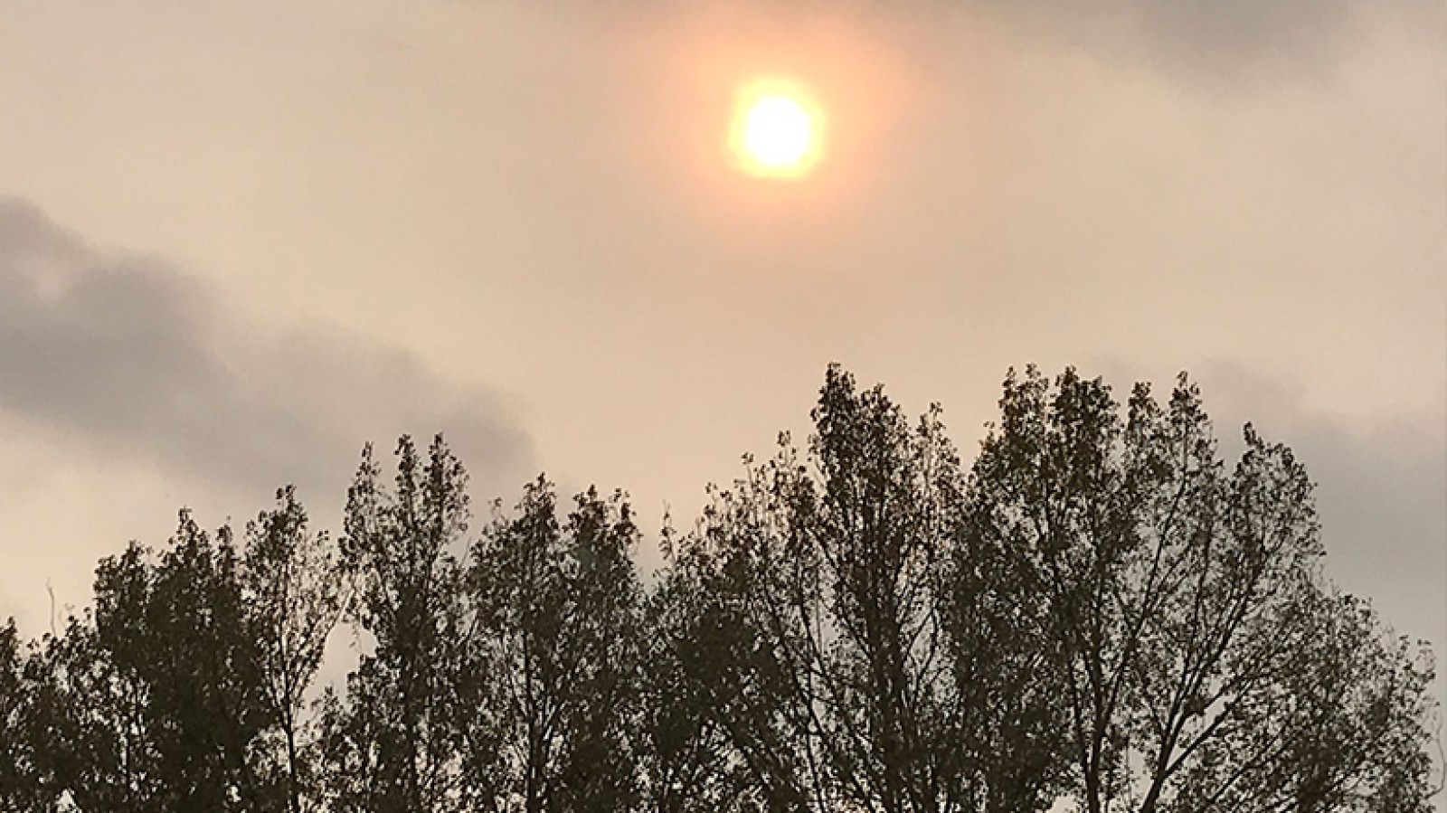 Oranje zon