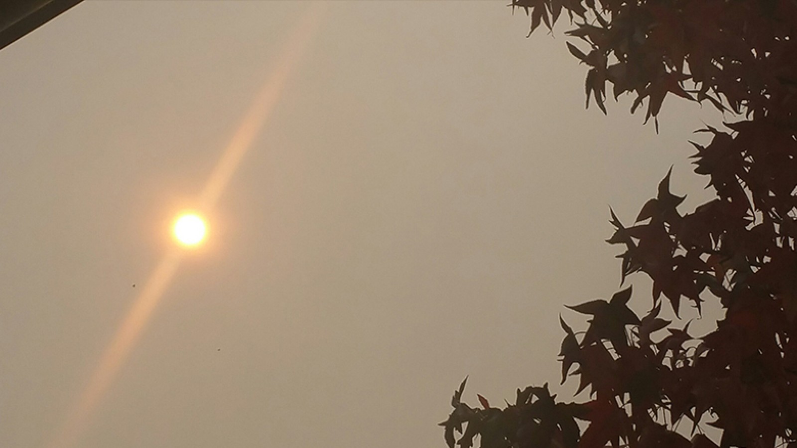 Oranje zon