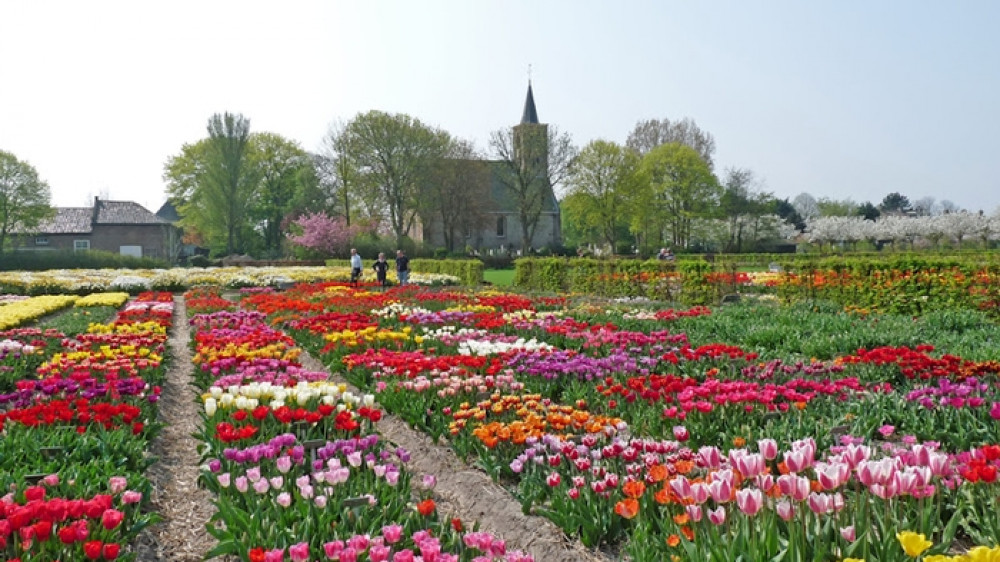 LIVE NH Events Bij Grootste Boekenmarkt 90 Jaar Hortus Bulborum En 