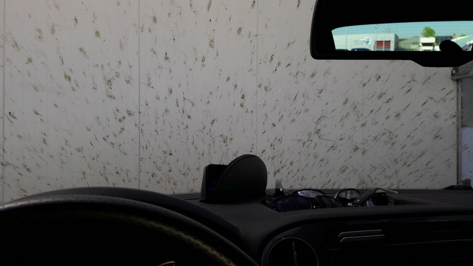 In beeld duizenden muggen op je auto door plaag rond de Afsluitdijk NH Nieuws
