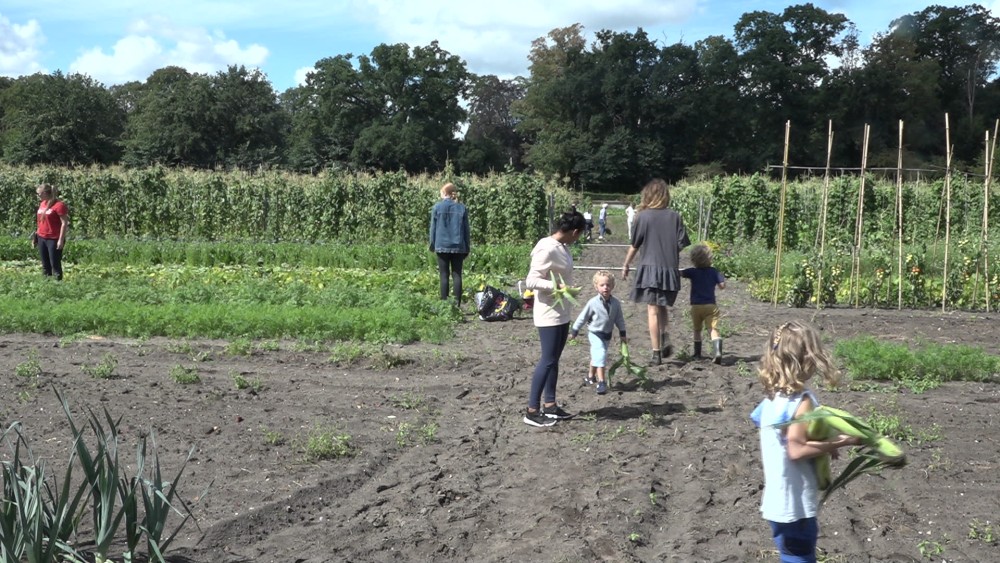 Zelf groenten en fruit oogsten bij biologische tuinderij Zelf groenten en fruit oogsten bij biologische tuinderij