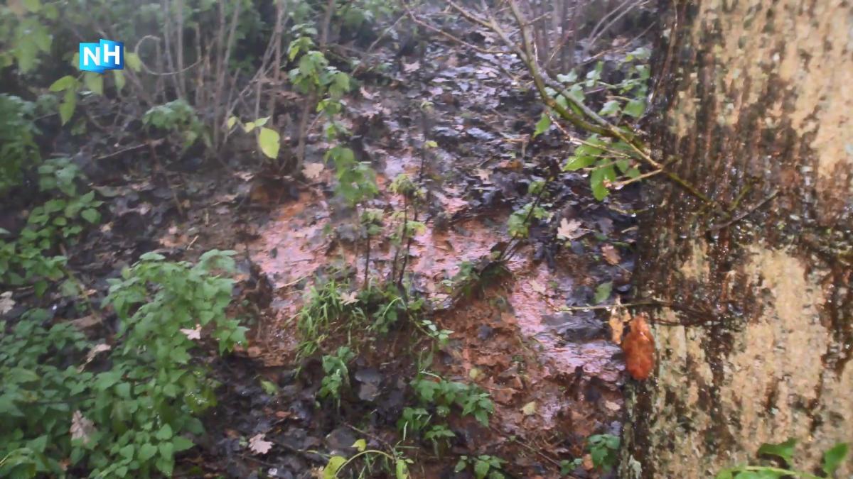 Twijfels over risico's voormalige vuilstort Westwoud: 'Grondwater weer zuiveren'