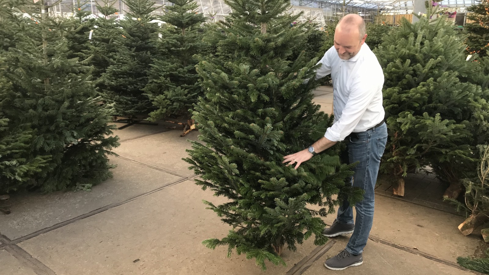 het laatste moment een kerstboom in huis halen: ''Ze zijn nu ook lekker goedkoop'' - NH Nieuws