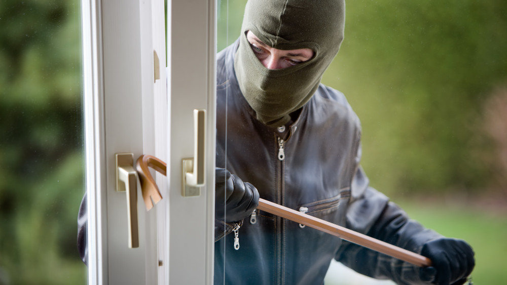 Burglar caught red-handed and arrested after home burglary in Bloemendaal