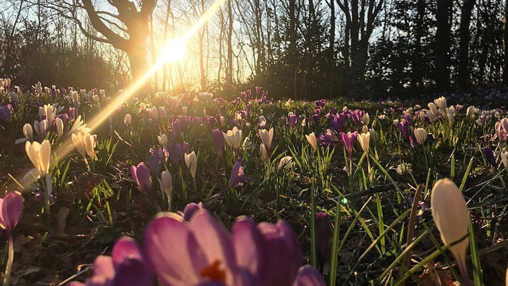 Vandaag nog 21 graden, daarna flink kouder en wisselvallig weer