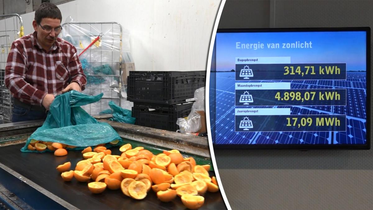 Hoorn 80 wil duurzaam bedrijventerrein worden: 