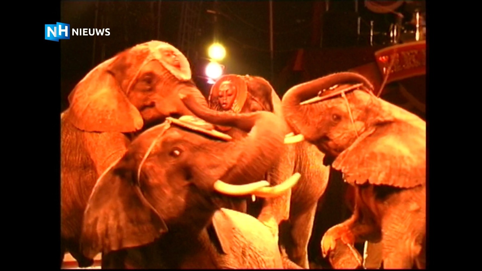 Remy en zijn vrienden: Straks lopen er ook olifanten in Hoenderdaell