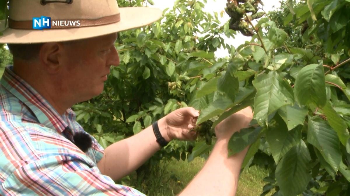 Na vijftien jaar lobbyen is bebouwing in gebied Kromme Leek in zicht