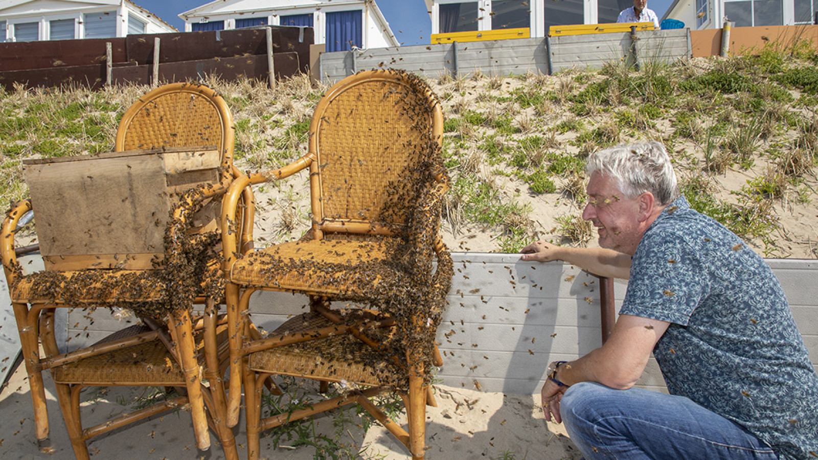 bijen strand